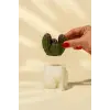 Kaktüs Silikon Mum Kalıbı