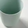 Kalas kupa, karışık renkler