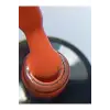 Kalıcı Oje 260