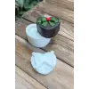 KALP PAKET Kapaklı Silikon Kap Kalıbı