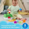 Kamp Zamanı Şekil Eşleştirme JLB85