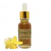 Kantaron Yağı 20 ML