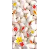 Kapı Giydirme Kapı Sticker Folyosu Taşlar Çiçek Balık