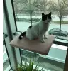 Kedi Cam Önü Oturma Platformu