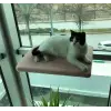 Kedi Cam Önü Oturma Platformu
