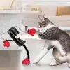 Kedi nanesi içeren mini boks torbası ve eldiven seti
