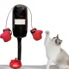 Kedi nanesi içeren mini boks torbası ve eldiven seti
