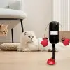 Kedi nanesi içeren mini boks torbası ve eldiven seti