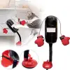 Kedi nanesi içeren mini boks torbası ve eldiven seti
