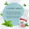 Kediler için Catnip Spreyi 50 ml