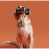 Kemik Peluş Köpek Oyuncağı