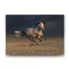 Kırçıllı At Görseliyle Dekoratif Tablo, 45x30 cm