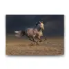 Kırçıllı At Görseliyle Dekoratif Tablo, 45x30 cm