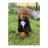 Köpek Kedi Smokin Ceket Gömlek (Medium)