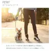 Köpek Tasması 3M