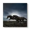 Koşan Siyah Atlar 40 x 40
