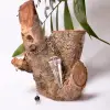 Kristal Kuvars Taşından Pandül