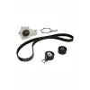 KTBWP9140 Triger ve Devirdaim Seti 0831P1-0831V4 - E118378-3M5Q8B596AA
