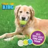 Küçük 2.5 köpek getirme topu combo