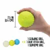 Küçük 2.5 köpek getirme topu combo