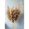 Kuru Çiçek Pampas 7 Adet 100 Cm Boy