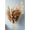Kuru Çiçek Pampas 7 Adet 100 Cm Boy
