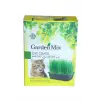 Kutu Kedi Çimi, Kahverengi, 1