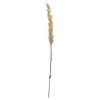 Kvist Grasses Light Decor, 100 cm, Doğal