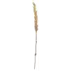 Kvist Grasses Light Decor, 100 cm, Doğal