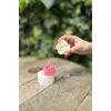 Laui Sukulent Silikon Mum Kalıbı
