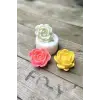 Laui Sukulent Silikon Mum Kalıbı