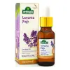 Lavanta Yağı 20 Ml