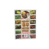 LCFS7435 Flash Card 50 Meyve Sebze