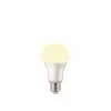 LEDBulb 13-100W E27 2700K Sarı Işık LED Ampul