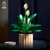 LEGO Botanicals Barış Çiçeği 11504