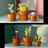 LEGO Botanicals Minik Bitkiler 10329