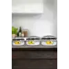 Lemon Emaye Üçlü Saklama Seti