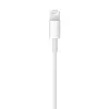 Lightning - USB Kablosu (1 m) ​​​​​​​