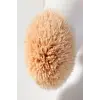 Likit Highlighter Aydınlatıcı