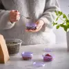 Lila Plastik Saklama Kabı Seti, 70 ml, 3 Parça