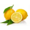 Limon Bonesi; 100 Adet/Bitki Çayı Bonesi