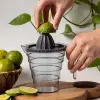 Limon Sıkacağı, Ölçü Kabı ile Birlikte, Şeffaf