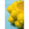 Limon Yatay Silikon Mum Kalıbı