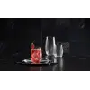 Lınka Bardak TK Hediyelik Kutu