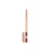 Lip Cheat Pillow Talk Dudak Kalemi, Savage Rose