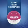 Lip Therapy Rose Dudak Bakım Kremi 20 g
