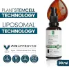 Liposomal Niacinamide Serum 30 ml