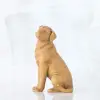 Love My Dog – Light