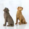 Love My Dog – Light