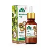 Macadamia Yağı 20 ml